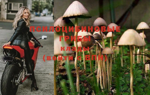 первитин Новокубанск
