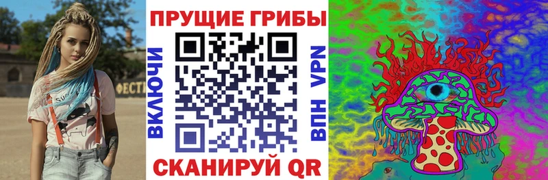 Купить  Карачев  Псилоцибиновые грибы Cubensis 