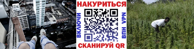 Конопля сатива  Купить где  Карачев 